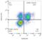 Killer Cell Lectin Like Receptor K1 antibody, LS-C204417, Lifespan Biosciences, Flow Cytometry image 