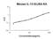 Interleukin 13 antibody, EK0425, Boster Biological Technology, Enzyme Linked Immunosorbent Assay image 