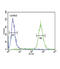 Glial Cell Derived Neurotrophic Factor antibody, abx034059, Abbexa, Flow Cytometry image 