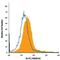 SCARA4 antibody, AF2690, R&D Systems, Flow Cytometry image 