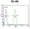 Melan-A antibody, LS-C164039, Lifespan Biosciences, Flow Cytometry image 