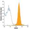 Dipeptidyl Peptidase 4 antibody, FAB9541P, R&D Systems, Flow Cytometry image 