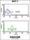 CDP-Diacylglycerol--Inositol 3-Phosphatidyltransferase antibody, 63-758, ProSci, Flow Cytometry image 