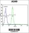 Tudor Domain Containing 7 antibody, 55-541, ProSci, Immunofluorescence image 