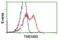 Transmembrane Protein 80 antibody, NBP2-02750, Novus Biologicals, Flow Cytometry image 