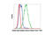 Rabbit IgG Isotype Control antibody, 3452S, Cell Signaling Technology, Flow Cytometry image 