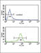Calcium Voltage-Gated Channel Auxiliary Subunit Alpha2delta 1 antibody, 63-598, ProSci, Flow Cytometry image 