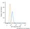 APC Regulator Of WNT Signaling Pathway antibody, NB100-91662AF488, Novus Biologicals, Flow Cytometry image 