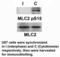Myosin Light Chain 2 antibody, GTX17513, GeneTex, Western Blot image 
