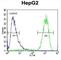 ATP Synthase Peripheral Stalk Subunit D antibody, abx025624, Abbexa, Western Blot image 