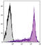 CD45RB antibody, 98-802, ProSci, Western Blot image 