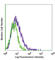 Mucosal Vascular Addressin Cell Adhesion Molecule 1 antibody, 120706, BioLegend, Flow Cytometry image 