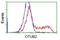 OTU Deubiquitinase, Ubiquitin Aldehyde Binding 2 antibody, NBP2-03223, Novus Biologicals, Flow Cytometry image 