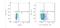 Calreticulin antibody, NBP1-47518AF405, Novus Biologicals, Flow Cytometry image 