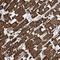 Actin Alpha Cardiac Muscle 1 antibody, 61075, Progen Biotechnik GmbH, Enzyme Linked Immunosorbent Assay image 