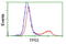 p53 antibody, LS-C172899, Lifespan Biosciences, Flow Cytometry image 