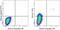 Thrombomodulin antibody, 11-1419-42, Invitrogen Antibodies, Flow Cytometry image 