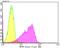 Bromodomain Adjacent To Zinc Finger Domain 1B antibody, A04438-1, Boster Biological Technology, Flow Cytometry image 