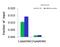 CCCTC-Binding Factor antibody, 31-172, ProSci, Chromatin Immunoprecipitation image 