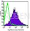Integrin Subunit Beta 1 antibody, 691574, Progen Biotechnik GmbH, Flow Cytometry image 