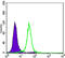 Cyclin B1 antibody, M00745-1, Boster Biological Technology, Enzyme Linked Immunosorbent Assay image 