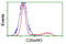 Replication Termination Factor 2 antibody, TA502347, Origene, Flow Cytometry image 