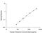 Retinoic Acid Receptor Responder 2 antibody, DCHM00, R&D Systems, Enzyme Linked Immunosorbent Assay image 