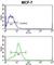 Hmgiy antibody, abx034227, Abbexa, Western Blot image 