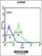 Activating Transcription Factor 1 antibody, 61-688, ProSci, Flow Cytometry image 