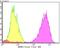 Microtubule Affinity Regulating Kinase 2 antibody, NBP2-75566, Novus Biologicals, Flow Cytometry image 