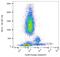 Neural Cell Adhesion Molecule 1 antibody, GTX28233, GeneTex, Flow Cytometry image 