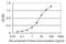 Fibrinogen Like 2 antibody, H00010875-M02, Novus Biologicals, Enzyme Linked Immunosorbent Assay image 