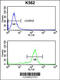 WD Repeat, Sterile Alpha Motif And U-Box Domain Containing 1 antibody, 63-655, ProSci, Flow Cytometry image 