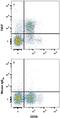 T Cell Immunoreceptor With Ig And ITIM Domains antibody, FAB7898P, R&D Systems, Flow Cytometry image 