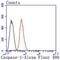Caspase 1 antibody, NBP2-67487, Novus Biologicals, Flow Cytometry image 