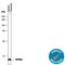 Pancreatic secretory trypsin inhibitor antibody, AF7496, R&D Systems, Western Blot image 