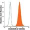 Carcinoembryonic Antigen Related Cell Adhesion Molecule 8 antibody, MAB4246, R&D Systems, Flow Cytometry image 