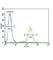 Solute Carrier Organic Anion Transporter Family Member 4C1 antibody, abx026450, Abbexa, Western Blot image 