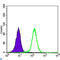 Serine/Threonine Kinase 11 antibody, LS-C812684, Lifespan Biosciences, Flow Cytometry image 