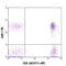 C-X3-C Motif Chemokine Receptor 1 antibody, 341602, BioLegend, Flow Cytometry image 