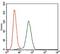 Kelch Like ECH Associated Protein 1 antibody, GTX60664, GeneTex, Flow Cytometry image 