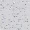 Major Histocompatibility Complex, Class II, DM Alpha antibody, PA5-52978, Invitrogen Antibodies, Immunohistochemistry frozen image 
