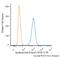 Apolipoprotein E antibody, NB110-60531, Novus Biologicals, Flow Cytometry image 