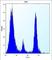 Protein O-Mannosyltransferase 1 antibody, abx026769, Abbexa, Western Blot image 