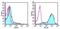 Inducible T Cell Costimulator antibody, 13-9942-85, Invitrogen Antibodies, Flow Cytometry image 