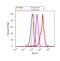 Dynamin 1 antibody, PA1-660, Invitrogen Antibodies, Flow Cytometry image 