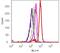 p21 antibody, 710182, Invitrogen Antibodies, Flow Cytometry image 