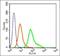 HOP Homeobox antibody, orb1358, Biorbyt, Flow Cytometry image 