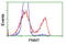 Phenylethanolamine N-methyltransferase antibody, LS-C172924, Lifespan Biosciences, Flow Cytometry image 