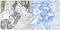 Cell Division Cycle 25C antibody, PA5-37515, Invitrogen Antibodies, Immunohistochemistry frozen image 
